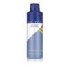 Nautica Voyage Heritage Deo 170Ml