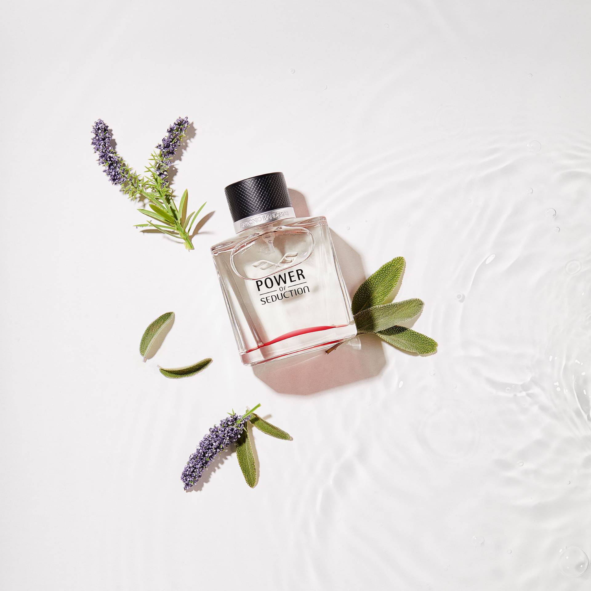 antonio_banderas__power_of_seduction__edt_50ml