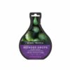 Mask Jf Wonder Drops Frizz Smoothing Disp X 12
